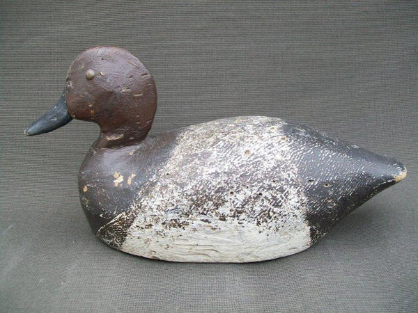 Unknown Wisconsin Redhead Tackeyes