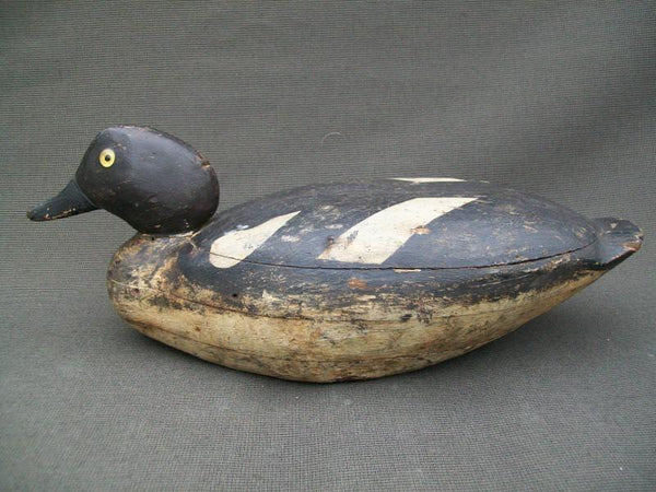 NY Long Island Golden Eye Hen Original Paint