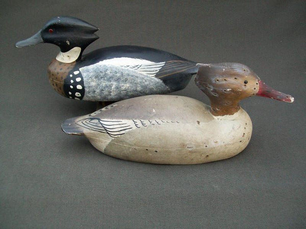 J.J. West Working Red Breasted Mergansers Pair