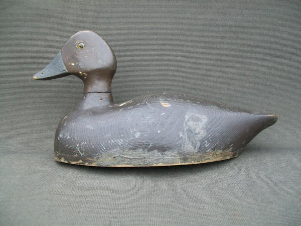 Canadian Golden Eye Hen Original Paint