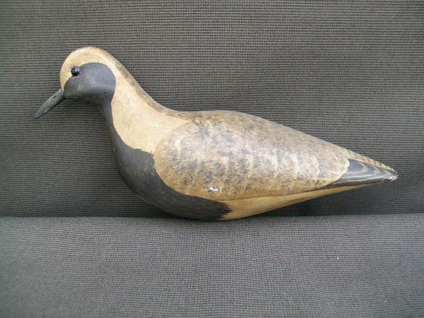 Harry Shourds Black Belly Plover