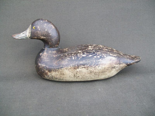 Mason Challenge Grade Blue Bill Hen