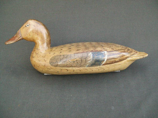 Robert Elliston Mallard Hen with weight