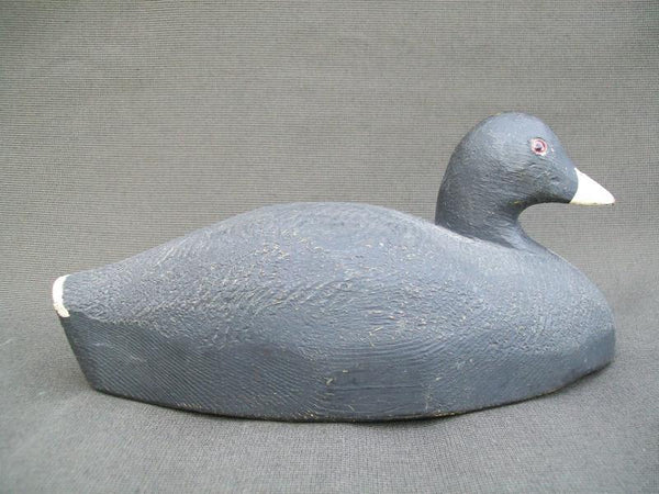 Herters Santa Marta Coot