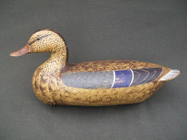 Charles Perdew Mallard Hen with original weight, Henry Illinois