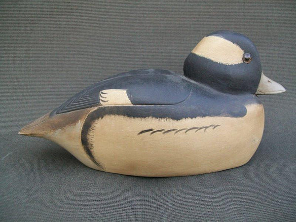 Destri Bufflehead