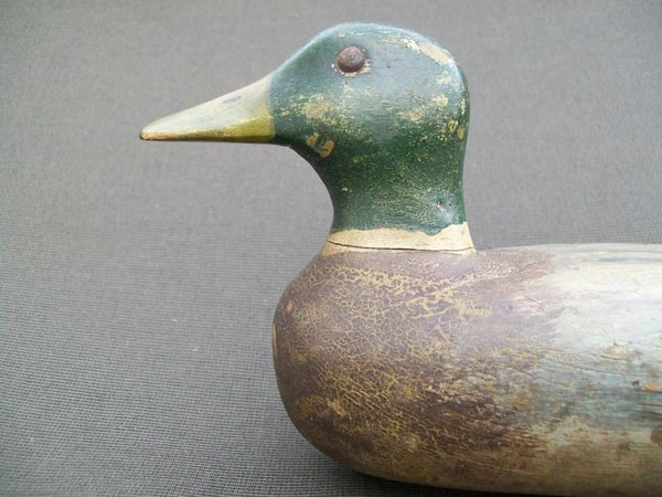 Illinois River Tackeye