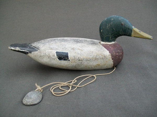 Gisler Weber Mallard Drake