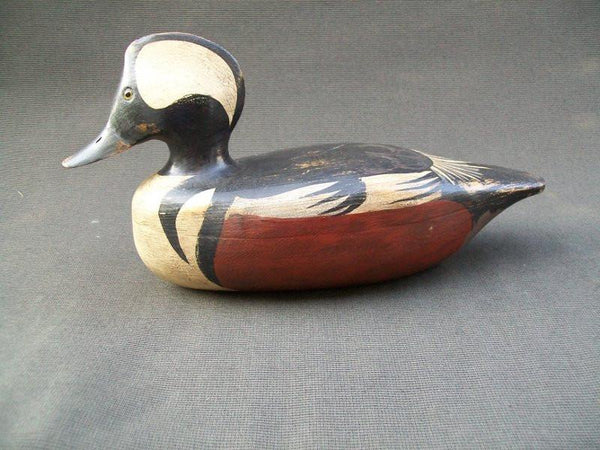 G.F. Cranwill Hooded Merganser, Pekin Illinois