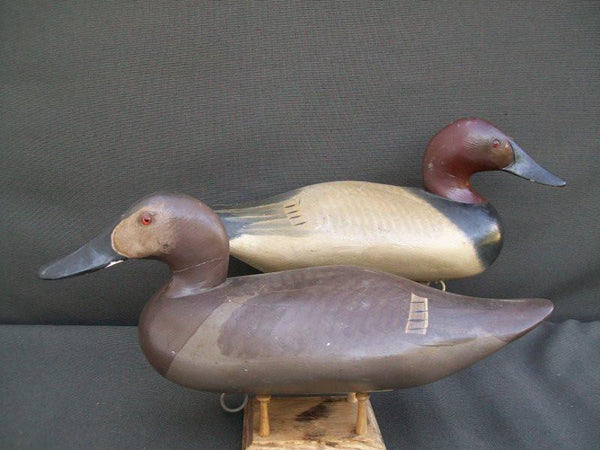 Madison Mitchell Canvasbacks