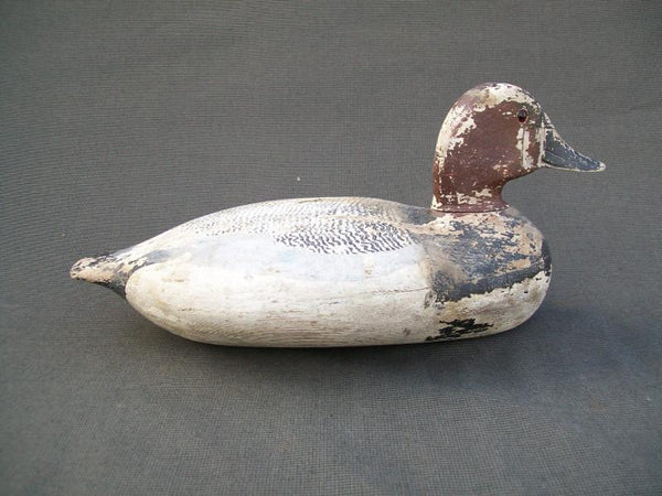 Sibley Drake Canvasback, Original Paint