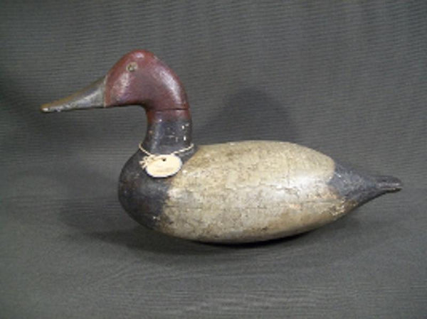 Charles Smith Illinois River Canvasback with weight