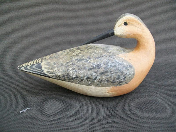 H V Shourds III Preening Shorebird from the Joe French Collection