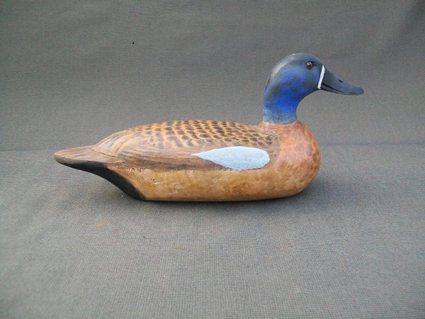 Elliston Style Blue Wing Teal