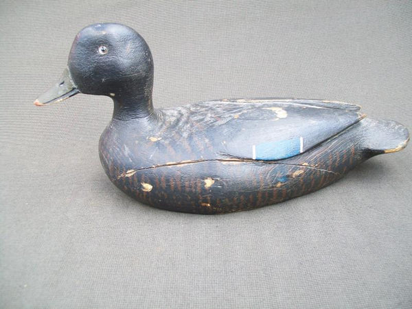 George Guyon Black Duck, Quebec