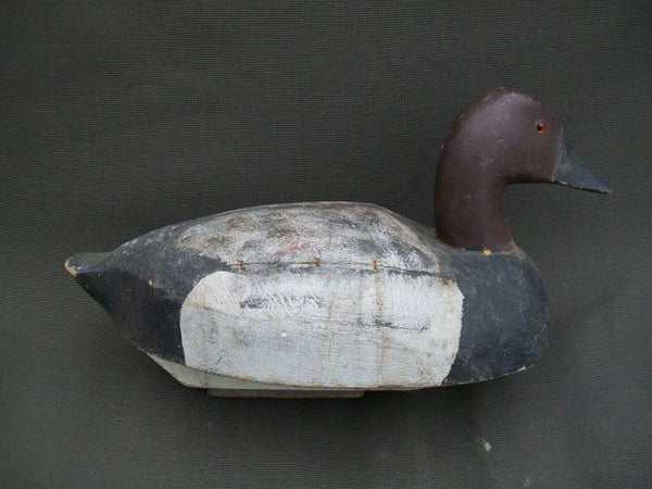 Michigan Canvasback slightly turned head with keel and lead weight