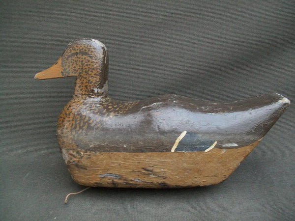 Unknown Humpback Mallard Hen with Weight and rigging hook