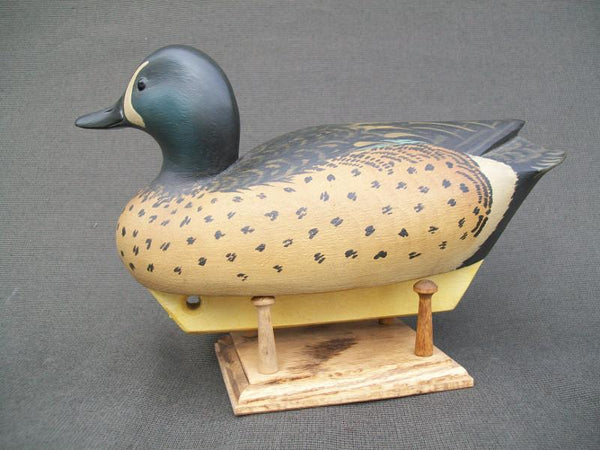 Marty Hanson working Blue Wing Teal