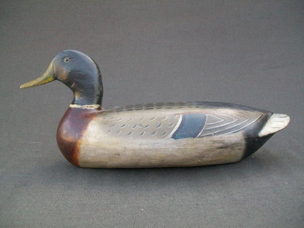 Illinois River Mallard Drake