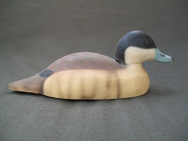 Herters 1893 Series Ruddy Duck