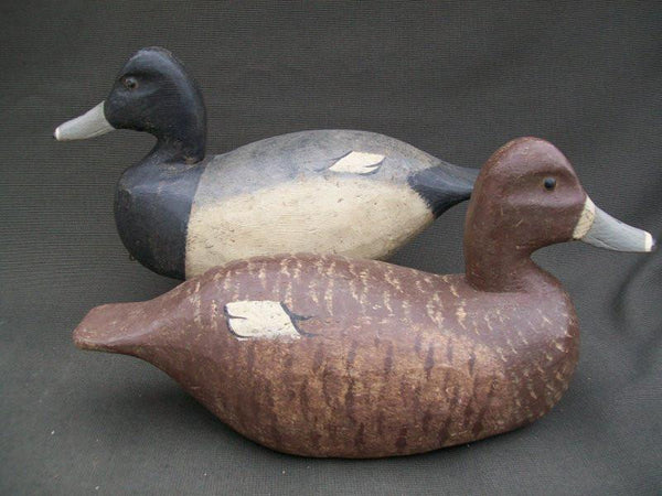 R.W. Schaap Blue Bill Pair