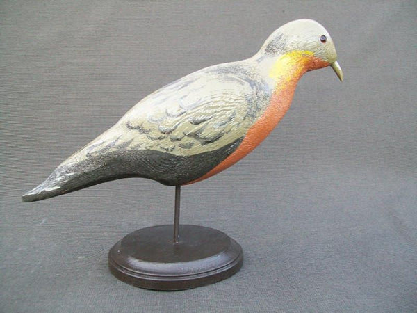 Herters Passenger Pigeon