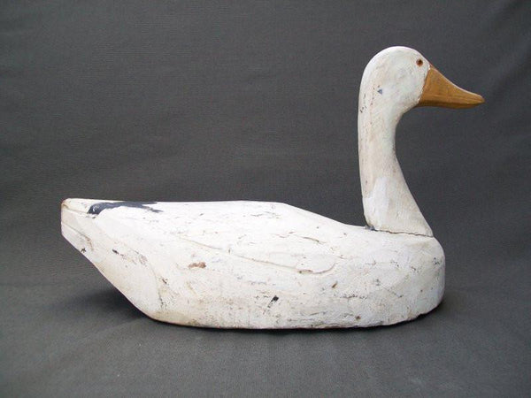 Illinois River Snow Goose