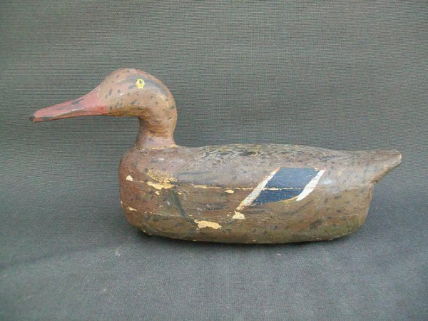 Mississippi River Mallard Hen Circa 1900s