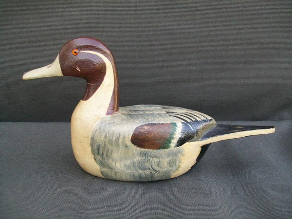 Podowicz Pintail