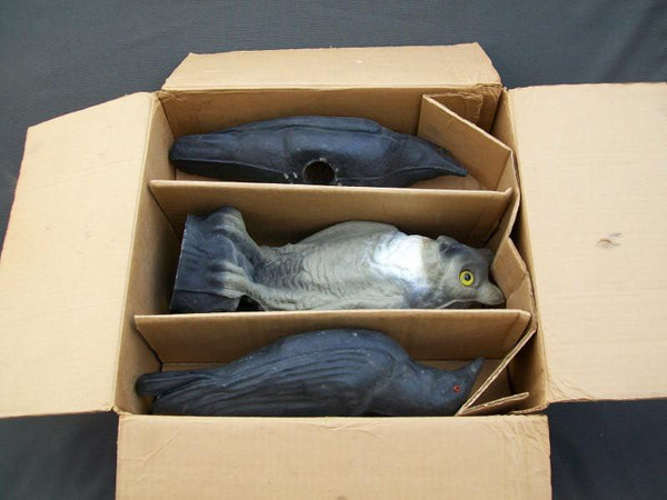 Victor Crow and Owl Decoy Set in Original Box