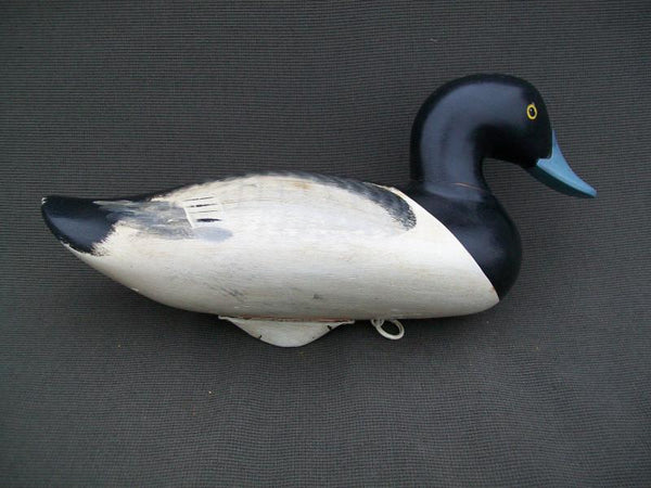 Jim Pierce Blue Bill