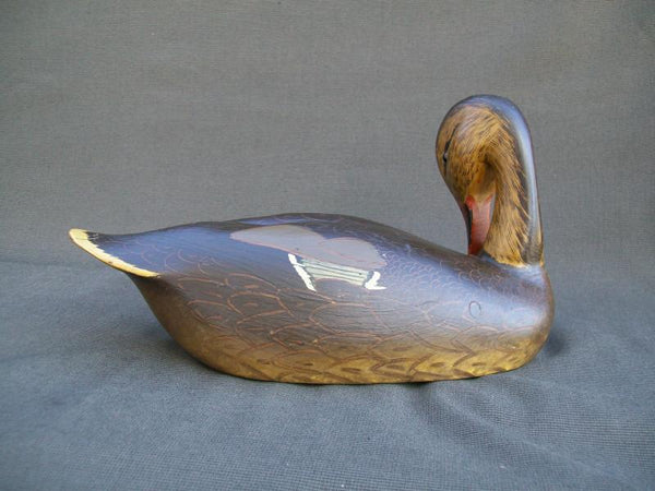 Ken Harris Mallard, Striking Head Position