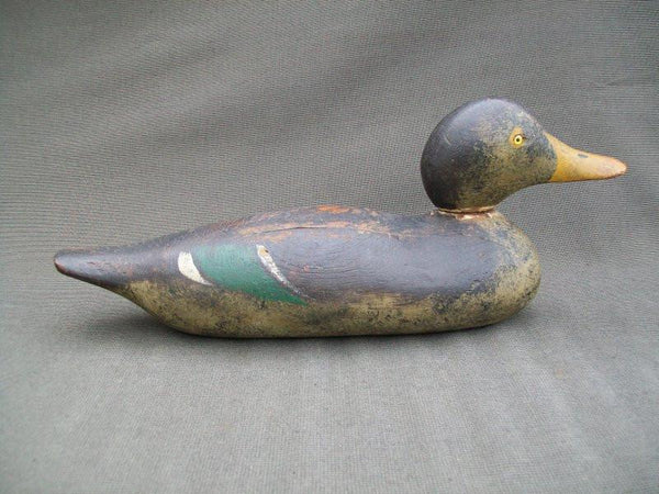 Mason Mallard Hen Detroit Grade O.P.