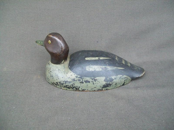 Canadian Red Head Drake Ontario