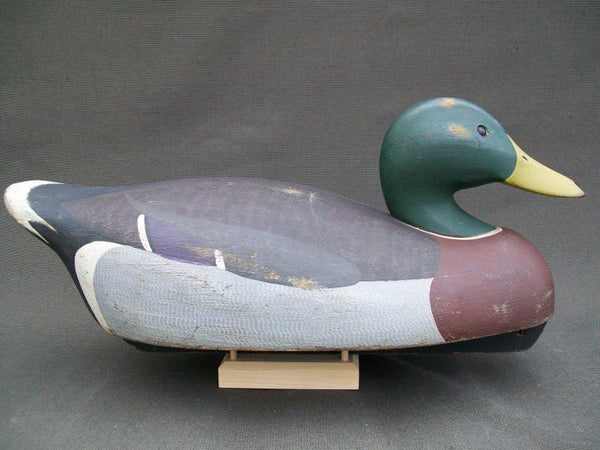 Ken Harris working Mallard Drake