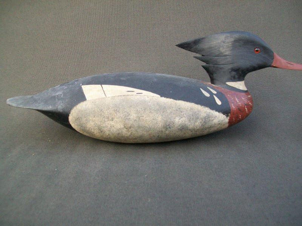 John Hamilton Red Breasted Merganser