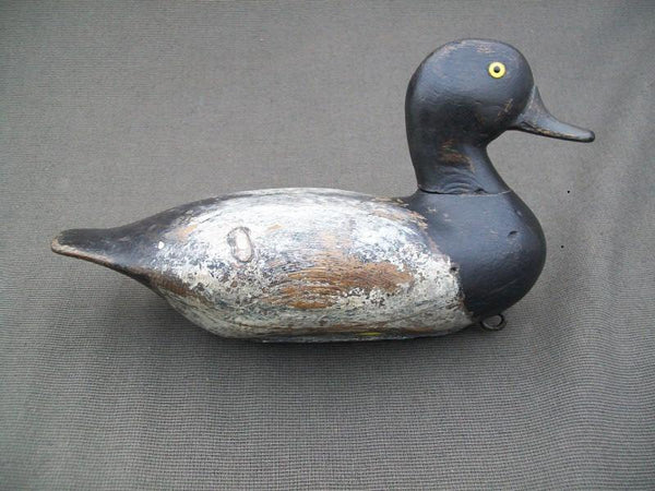 Illinois River Blue Bill with Weight