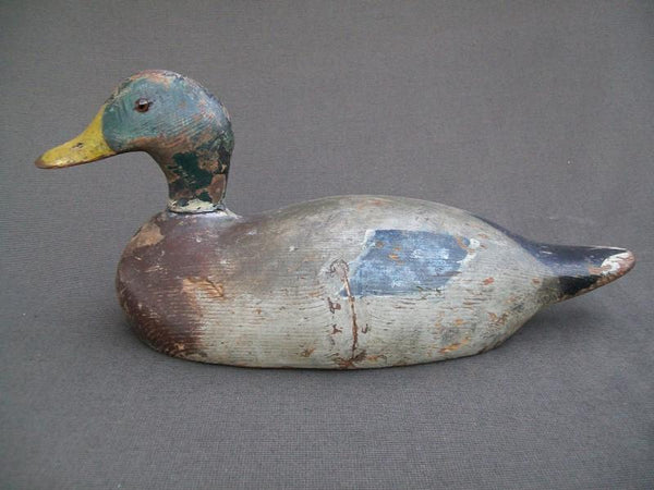 Oversized Pratt Mallard Drake