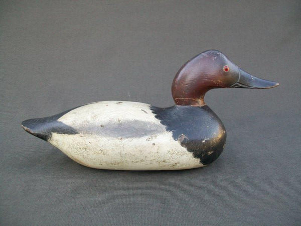 Mason Challenge Canvasback Snakey head