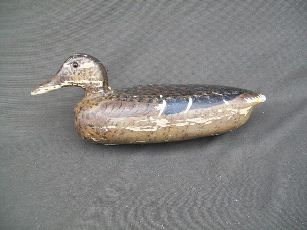 Unknown Mallard Hen Millie Graves Paint