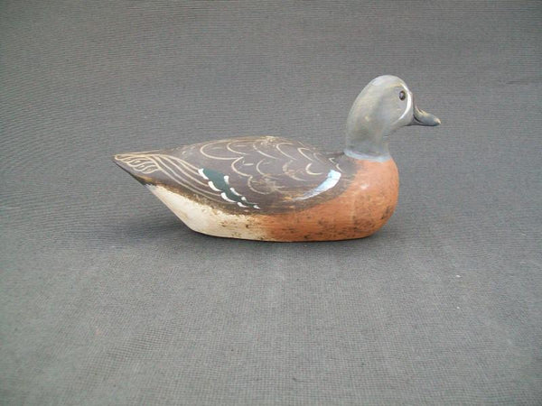 Kirkpatrick Blue Wing Teal, slightly turned head