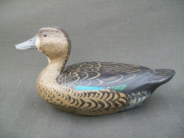 Illinois River Blue Wing Teal Hen