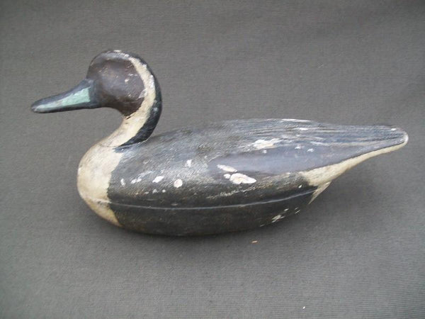 Illinois River Wilcoxen Pintail Drake with weight