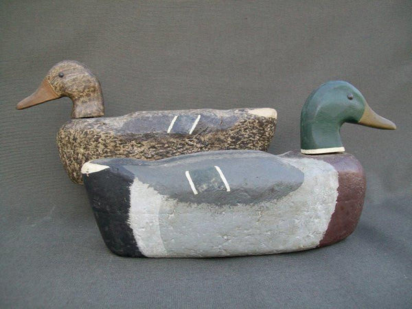 Illinois River Mallard Pair