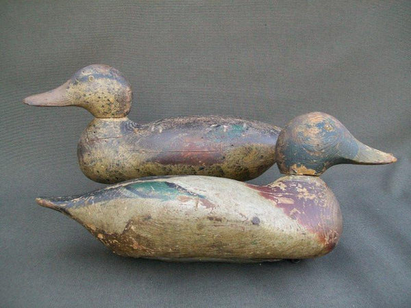 Hays Mallards - Rigmates Pair