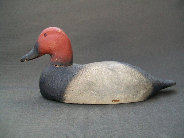 Herters 1893 Series Canvasback