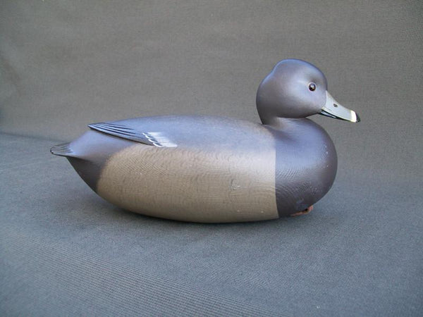 Ringneck Hen by Rick Brown