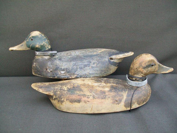 Canada Mallards William Clark