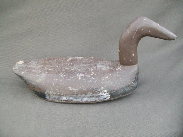 Oversized Minnesota Canvasback Hen