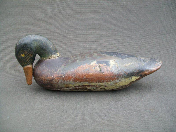 Vintage Preening Mallard Drake